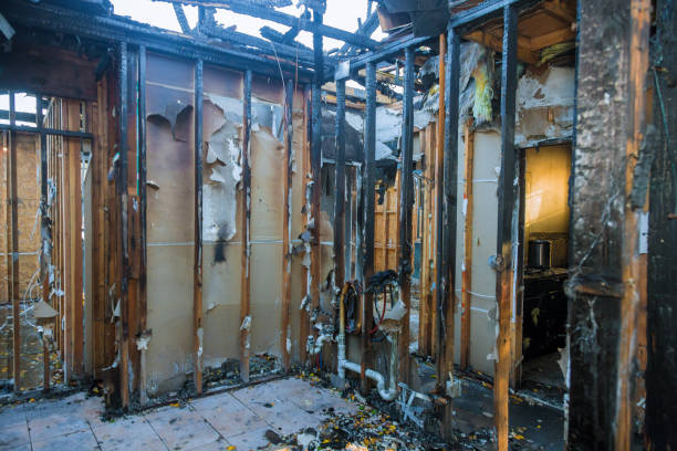 Professional Fire Damage Repair technician working in Auburn, KY